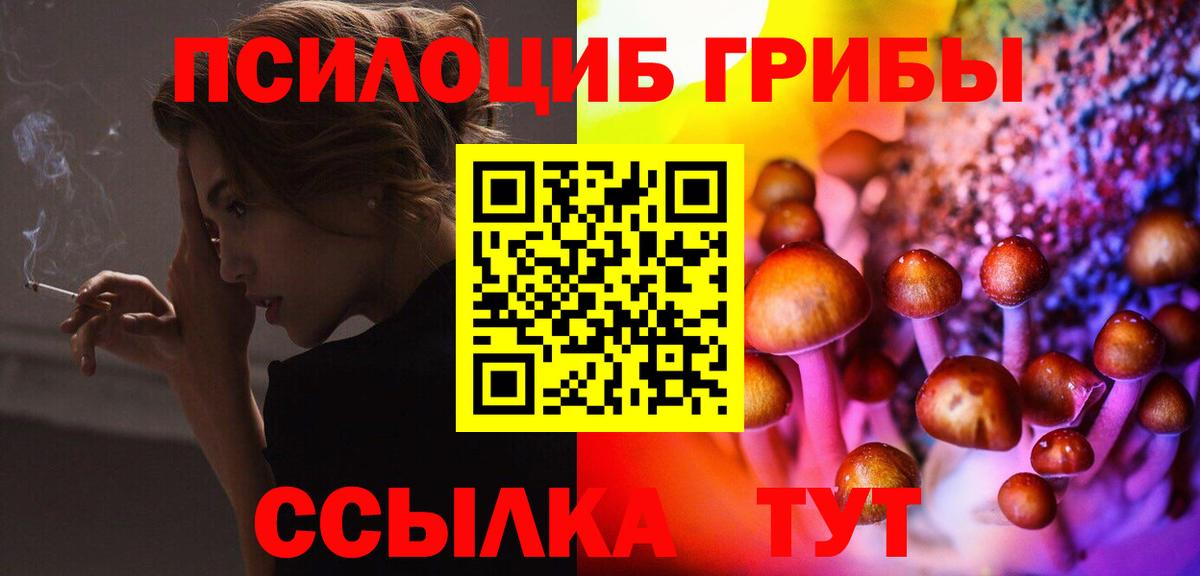 Псилоцибиновые грибы GOLDEN TEACHER Подольск
